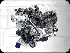 gas conversion essendon